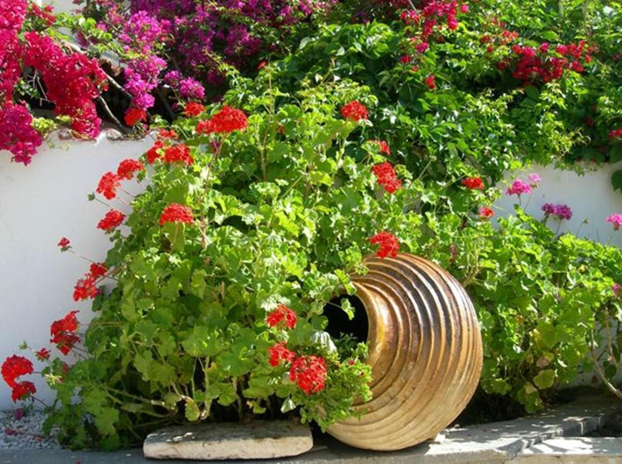 Irini Studios Alykes  Exteriör bild
